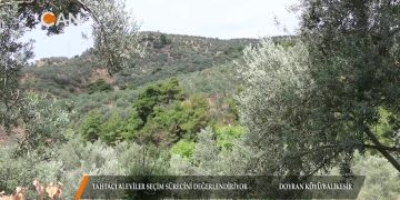 092 – 2018-06-24 – OZEL_PROGRAM -TAHTACI DOYRAN KÖYÜ 24 HAZİRAN SECIMINI DEGERLENDIRIYOR – BALIKESIR – 20-06-2018