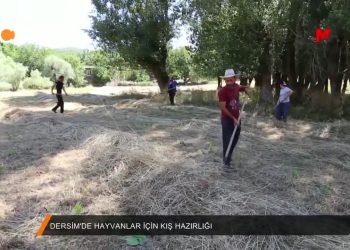 052 – 2018-07- 12 – DERSIM’DE_HAYVANLAR_ICIN_KIS_HAZIRLIGl