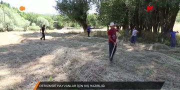 052 – 2018-07- 12 – DERSIM’DE_HAYVANLAR_ICIN_KIS_HAZIRLIGl
