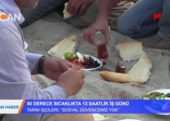 50 DERECE SICAKLIKTA 13 SAATLİK İŞ GÜNÜ – ”SOSYAL GÜVENCEMİZ YOK” – TARIM İŞÇİLERİ