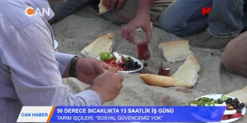 50 DERECE SICAKLIKTA 13 SAATLİK İŞ GÜNÜ – ”SOSYAL GÜVENCEMİZ YOK” – TARIM İŞÇİLERİ
