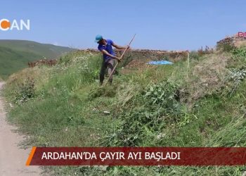 ARDAHAN’DA ÇAYIR AYI BAŞLADl – Yaşamın İçinden