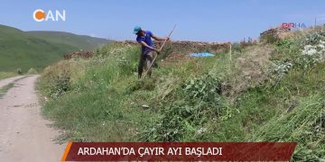 ARDAHAN’DA ÇAYIR AYI BAŞLADl – Yaşamın İçinden
