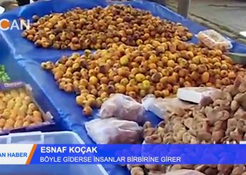 CAN_HABER – 16.08.2018