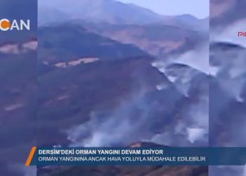 ‘Dersim’deki orman yangınına ancak hava yoluyla müdahale edilebilir” – 18.08.2018