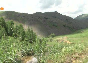 TURNALAR – ENDER CAN AKDEMiR – 11.08.2018