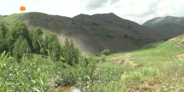 TURNALAR – ENDER CAN AKDEMiR – 11.08.2018