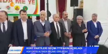 036 – 2019-01-09 – CAN HABER 0701 2019