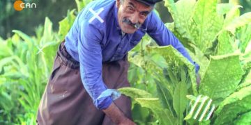 076 – 2019-01- 19 – YASAMIN ICINDEN BTS GENEL BAŞKANI BEKTAŞ TREN KAZALARININ SEBEBİ İHMALLER ZİNCİRİDİR 13 01 2019