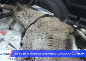 108 – 2019-01- 19 – CAN HABER 1801 2019