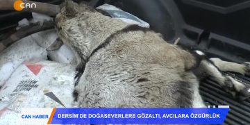 108 – 2019-01- 19 – CAN HABER 1801 2019