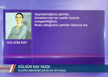 036 – 2019-02-08 – KADIN BÜLTENİ- ELİF SONZAMANCI 08.02.2019