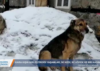 017 – 2019-04-04 – YAŞAMINİÇİNDEN – KARA KiŞiN ORTASINDA 03.04.2019