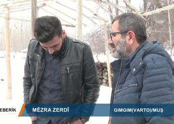 033 – 2019-04-06 – TEBERİK – ALİŞEKER -MEZRA ZERDİ- VARTO_MUŞ 05.04.2019