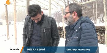 038 – 2019-04-07 – TEBERIK – ALİŞEKER – MEZRA ZERDİVARTO MUŞ 05.04.2019