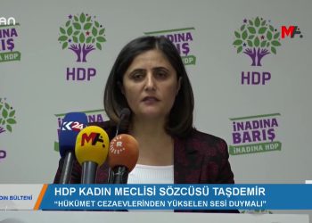 073 – 2019-04- 13 – KADIN BÜLTENİ- ELİF SONZAMANCI 12.04.2019