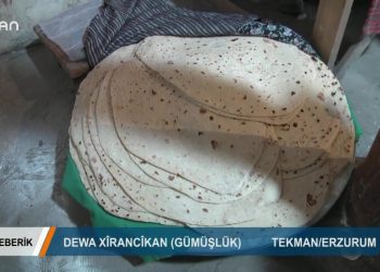 076 – 2019-04- 13 – TEBERİK – ALİŞEKER – DEWA XİRANCİKAN 12.04.2019