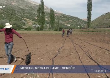 176 – 2019-05-29 – REVA ME – MUSTAFA YÜKSEL -MESTAN MEZRA BULAME SEMSÜR 27.05.2019