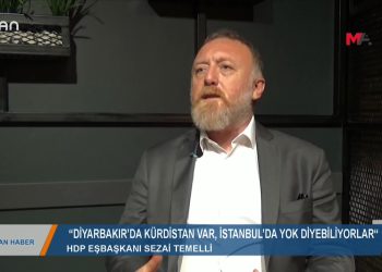 033 – 2019-06-04 – CANANA HABER – PINAR MANSUROGLU 04.06.2019