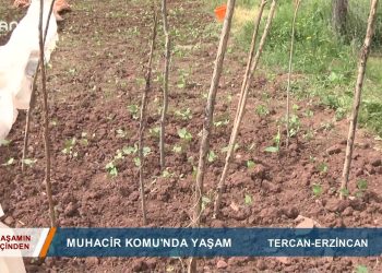 098 – 2019-06- 15 – YAŞAMINİCİNDEN – TERCAN MUHACİR KONUMUNDA YAŞAM 14.06.2019YAYIN SAATİ 1845