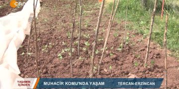 098 – 2019-06- 15 – YAŞAMINİCİNDEN – TERCAN MUHACİR KONUMUNDA YAŞAM 14.06.2019YAYIN SAATİ 1845