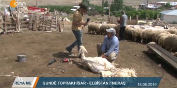 178 – 2019-06-26 – REVA ME – GUNDE TOPRAK HiSAR – ELBiSTA N MERAS 25.06.2019
