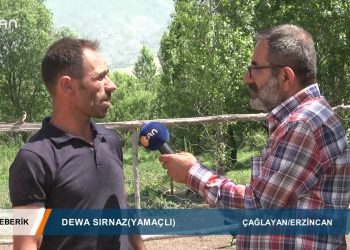 207 – 2019-06-29 – TEBERİK – ALİŞEKER – ERZİNCAN – ÇAGLAYAN YAMAÇLI – 28.06.2019