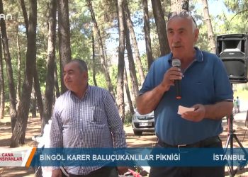 121 – 2019-07- 18 – CANA YANSIYANLAR – BİNGÖL KARER BALUÇUKANULAR PİKNİGİ 17.07.2019