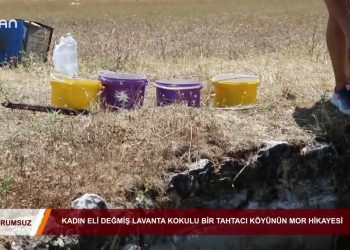 171 – 2019-07-26 – CAN TV – KADIN ELİDEGMEMİŞ LAVANTA KOKULU TAHTACI KÖYÜNÜN MOR HİKAYESİ
