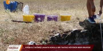 171 – 2019-07-26 – CAN TV – KADIN ELİDEGMEMİŞ LAVANTA KOKULU TAHTACI KÖYÜNÜN MOR HİKAYESİ