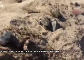 205 – 2019-07-31 – EKOLOJiGUNDEMI- 3007 2019