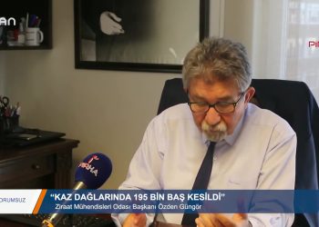 065 – 2019-08- 14 – YORUMSUZ – GÜNGÖR KAZ DAGLARINDA 195 BİN BAŞ KESİLDİ 10.08.2019