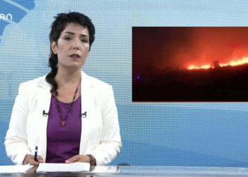 070 – 2019-08- 14 – CANANA HABER – PINAR MANSUROGLl!J 13.08.2019