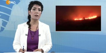 070 – 2019-08- 14 – CANANA HABER – PINAR MANSUROGLl!J 13.08.2019