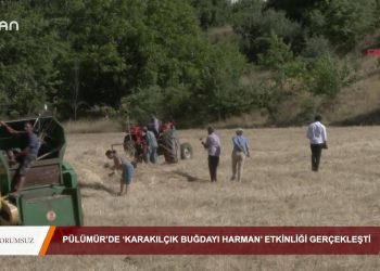 095 – 2019-08- 16 – YORUMSUZ – PÜLÜMÜR’DE ‘KARAKILÇIK BUGDAYIHARMAN’ ETKİNLİGİGERÇEKLEŞTİ 16.08.2019