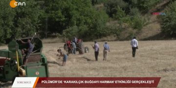 095 – 2019-08- 16 – YORUMSUZ – PÜLÜMÜR’DE ‘KARAKILÇIK BUGDAYIHARMAN’ ETKİNLİGİGERÇEKLEŞTİ 16.08.2019