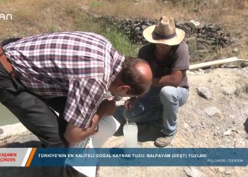 117 – 2019-08-29 – YAŞAMINİÇİNDEN -BALPAYAM TUZLASI – 29 08.2019