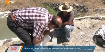 117 – 2019-08-29 – YAŞAMINİÇİNDEN -BALPAYAM TUZLASI – 29 08.2019