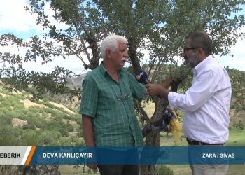 132 – 2019-08-31 – TEBERIK – ALİŞEKER – SİVAS ZARA KANLICAYIR 30.08.2019