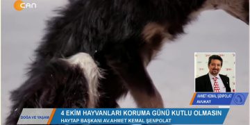 022 – 2019- 10-04 – DOGA VEYAŞAM – NEVİNYILDIZ 04.10.2019