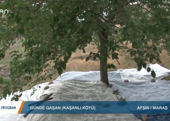 023 – 2019- 10-05 – ÖZEL PROGRAM – ELİF TABAK – KASANLI KÖYÜ 04.10.2019