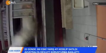 132 – 2019- 10- 18 – HABER TURU OÜNYA HABERLERİ 18 EKİM 2019