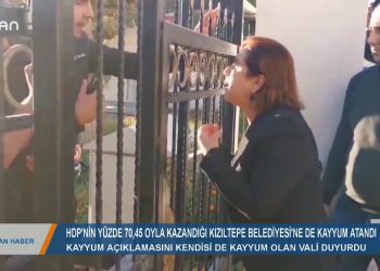 030 – 2019- 11-04 – CANANA HABER – PINAR MANSUROGLU 04.11.2019