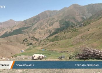 080 – 2019- 11-09 – TEBERIK – ALİŞEKER – DEWA KONARLI 08.11.2019