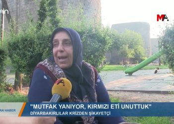 091 – 2019- 11- 10 – YENİZAMLARYOLDA;İLK SIRADA EKMEKVAR