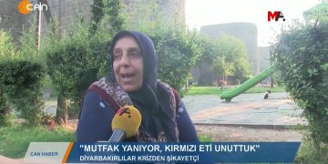 091 – 2019- 11- 10 – YENİZAMLARYOLDA;İLK SIRADA EKMEKVAR