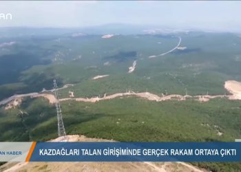 126 – 2019- 11- 18 – KAZ DAGLARITALAN GİRİŞİMİNDE GERÇEK RAKAMLAR ORTAYA ÇIKTI