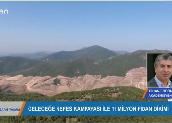 195 – 2019-11- 15 – DOGA VEYAŞAM – NEVİNYILDIZ 15.11.2019