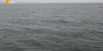 226 – 2019-11-25 – UYUR İDİK UYARDILAR – SÜLEYMAN ZAMAN – SEYDALİGÖNEL – GUFRANİ2 BÖLÜM 24 .11.2019