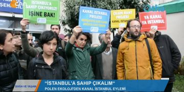 269 – 2019- 12-27 – DOGA VEYAŞAM – NEVİN YILDIZ 27.12.2019